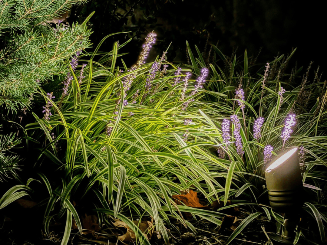 Trey's Lawn & Landscape - Kansas City Landscape Lighting