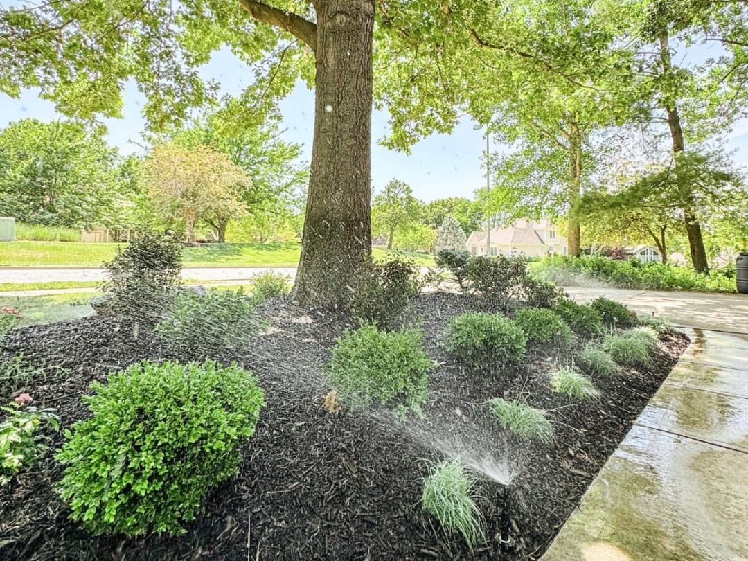 Landscaping around a tree