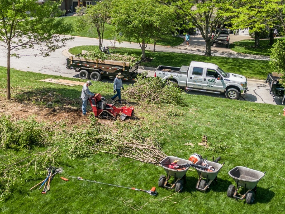 tree services Trey's Lawn & Landscape offers Kansas City landscaping services to residential and commercial clients in the Kansas City Northland, including Parkville, Missouri.