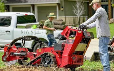 Kansas City Tree Services: Maintenance, Removal, & Expert Care