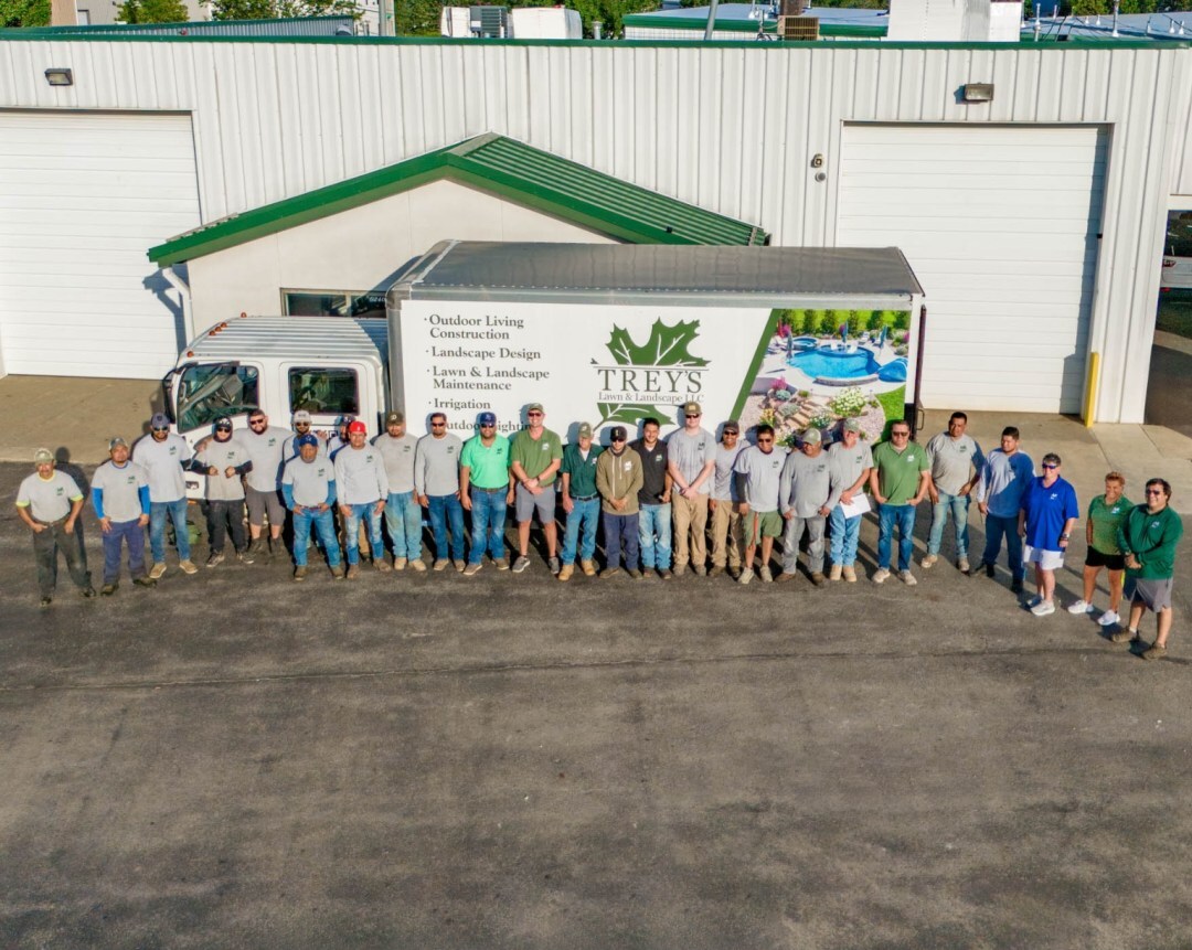 Meet the team