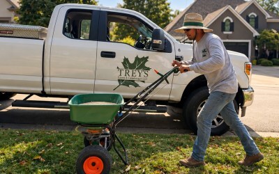When Is the Best Time for Aeration and Overseeding in Kansas City?
